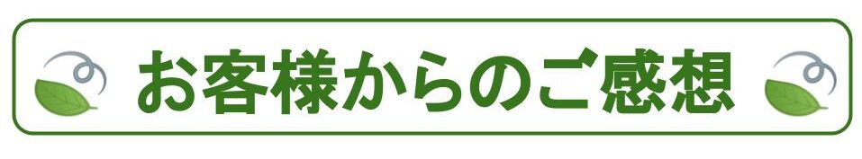 Sun ドレス 68 サンシックスティーエイト ギフトラッピング トップス ワンピース Sun 68 サンシックスティーエイト レディース ワンピース ミニ ショート ドレス トップス ピンク Ripostiglio